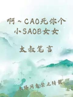 啊～CAO死你个小SAOB女女