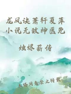 龙凤诀萧轩夏萍小说无敌神医免