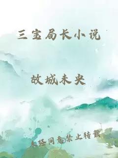 三宝局长小说