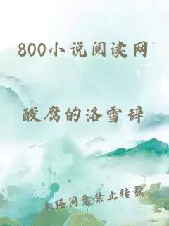 800小说阅读网