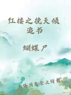 红楼之挽天倾 追书