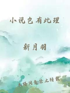 小说岂有此理