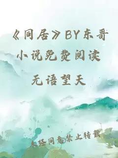 《同居》BY东哥小说免费阅读