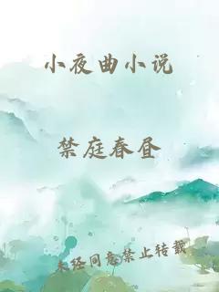 小夜曲小说