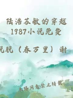 陆浩苏敏的穿越1987小说免费