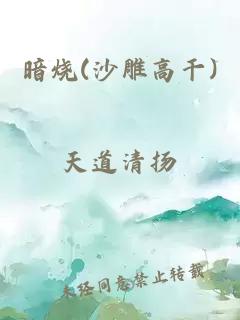 暗烧(沙雕高干)