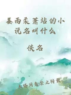 姜雨柔萧站的小说名叫什么