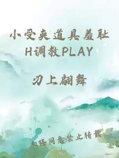 小受夹道具羞耻H调教PLAY