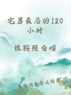 宅男最后的120小时