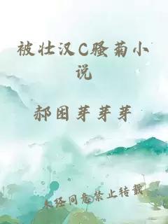 被壮汉C骚菊小说