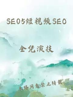 SE05短视频SEO