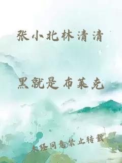 张小北林清清