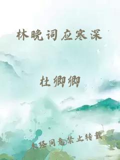 林晚词应寒深