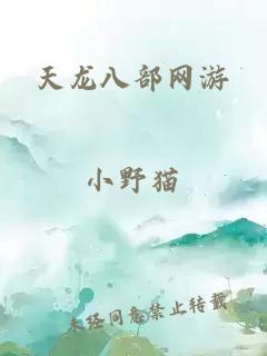 天龙八部网游