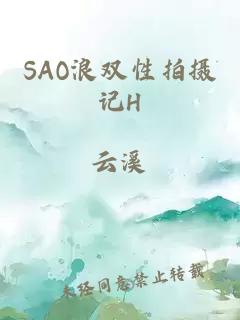 SAO浪双性拍摄记H