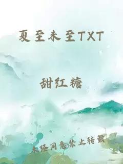 夏至未至TXT