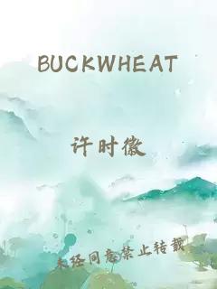 BUCKWHEAT