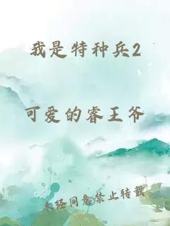 我是特种兵2