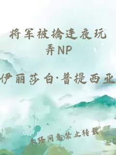 将军被擒连夜玩弄NP