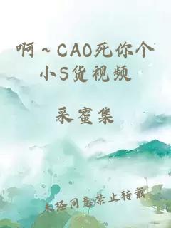 啊～CAO死你个小S货视频