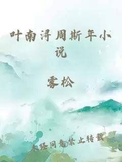 叶南浔周斯年小说