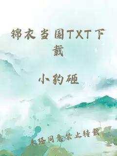 锦衣当国TXT下载