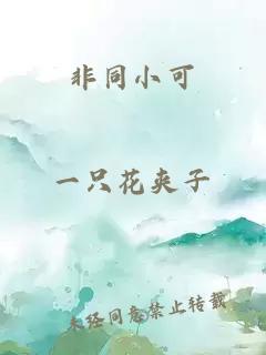 非同小可