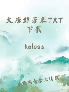 大唐群芳录TXT下载