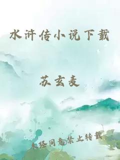 水浒传小说下载