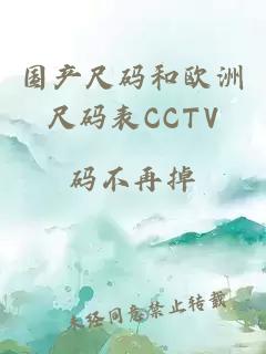 国产尺码和欧洲尺码表CCTV