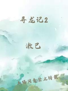 寻龙记2