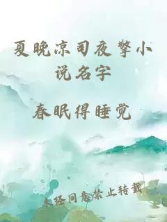 夏晚凉司夜擎小说名字