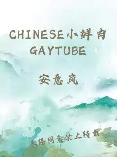 CHINESE小鲜肉GAYTUBE