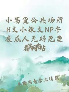 小荡货公共场所H文小辣文NP午夜成人无码免费看网站